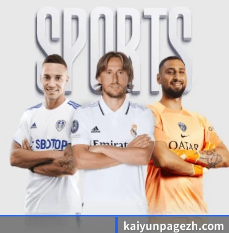 Kaiyun APP 界面