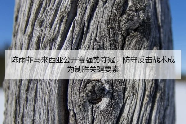陈雨菲马来西亚公开赛强势夺冠，防守反击战术成为制胜关键要素